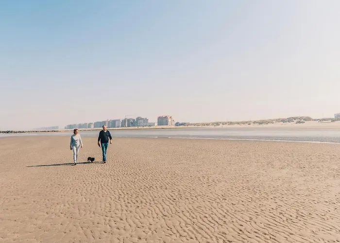 فندق Belcasa Suitehotel